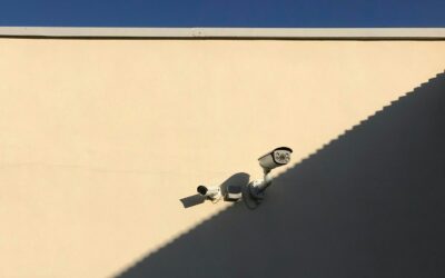 Telecamere nelle scuole: Sicurezza o Invasione Della Privacy?